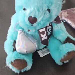 Turquoise Plush Bear with Brown Details